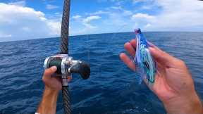 Fishing For Anything That Bites - Offshore Ocean Fishing Florida
