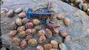 ITS ABALONE SEASON ! Big Lobster Catch Clean Cook