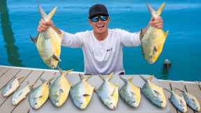 Florida's Most EXPENSIVE Fish... Catch Clean Cook (Florida Pompano)