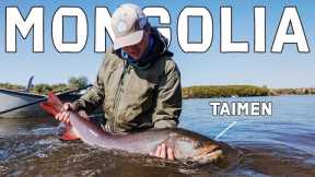 Fly Fishing Mongolia: TAIMEN - The World's Largest Salmon