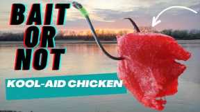 Kool-Aid and Jell-O CHICKEN Bait Catfishing La Cygne Lake Hot Water Outlet 2024 #damfishing #bait