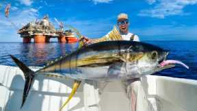 Monster Yellowfin Tuna Under Massive Oil Rig! Catch Clean & Cook (NLBN Lure Tuna Fishing)