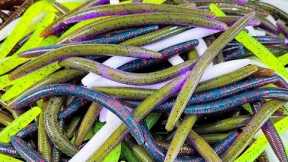 We Made A TON Of Stick Worms For Bass Fishing! Bait-Blog