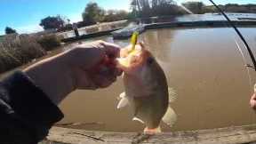 PINTO LAKE PRESPAWN FISHING 2023