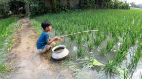 Fishing in Rainy Season Water ~ Village Little Boy Catching Fish With a Hook in a Village Rice Field