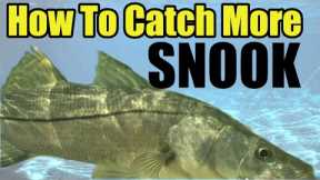 Catch MORE Snook Guaranteed (Florida Saltwater Fishing) Tips For Catching Snook During The Day