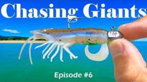 TINY Lure, BIG Fish! (Chasing Giants Ep #6)