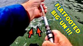 A Fishing BAIT that CATCHES FISH like CRAZY on Reel and Rod !!!