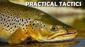 Big Brown Trout: Real-Life Cloudy Day Trout Stream Sight-Fishing Tips & Tactics. Part 1
