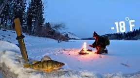 24h WINTER STORM Survival! Fishing & Hunting for Food (Catch & Cook)