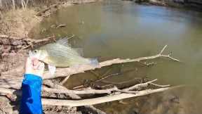 I catch my PB! This magical sand bar was loaded with giant pre-spawners!