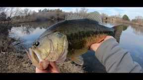 Fishing A Small Lake With BIG Swimbaits In February