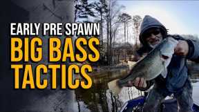 Early Pre Spawn Big Bass Tactics #lakelanierfishing2024 #bassfishing
