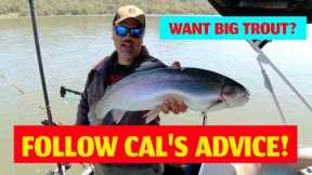 How To Catch Collins Lake Rainbows: Trout Fishing Strategy With Cal Kellogg #fishing #trout