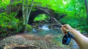 How to Catch MORE Brook Trout || Fly Fishing For Beginners