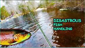 GIANT TROUT LANDED!! - Winter Fishing Big Brown/Rainbow/Brookies