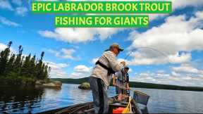 Fishing for the Legendary Brook Trout of Labrador