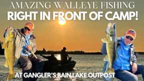Amazing Walleye Fishing Right In Front Of Camp! At Gangler's Bain Lake Outpost