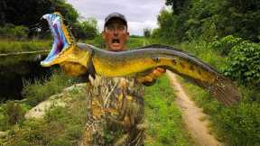 SnakeHead {Catch Clean Cook} This Fish is VICIOUS!!!