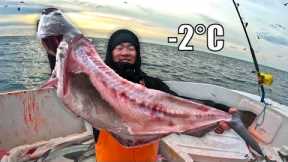 *GRAPHIC* Catching GIANT Ground Fish in Freezing Water (feat. On the Water Magazine) - Catch & Cook
