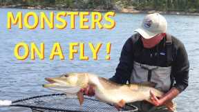 Sight Fishing for Monster Pike | Reindeer Lake Saskatchewan