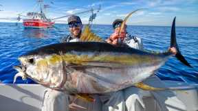 Giant Yellowfin Tuna Under Shrimp Boats! Catch Clean & Cook (NLBN Lure Tuna Fishing)