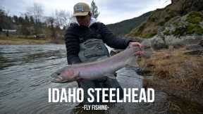 Fly Fishing for Spring Steelhead in Idaho