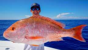 GIANT Red Snapper, Grouper, Tuna! Catch Clean Cook (Gulf of Mexico Fishing)