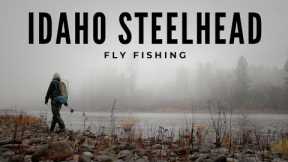 Fly Fishing Van Trip for Fall Steelhead in Idaho