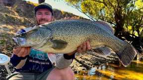 Epic Murray Cod Fishing Adventure in a Crystal Clear River