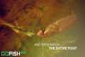 GoFish Cam - The Most Popular