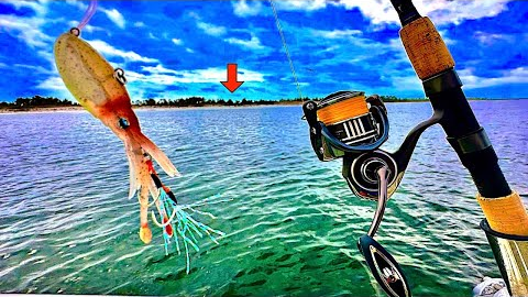 Fishing this *NEW* SQUID JIG! in the BAY for LUNCH! [Catch, Clean, Cook]
