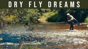 Dry Fly Fishing – GORGEOUS Aussie stream straight out of Middle Earth…