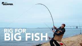 Catch BIGGER FISH w/ this Fishing Rig! Beach Fishing Rigs and Tactics