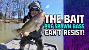 The Bait Pre Spawn Bass Can't Resist #lakelanierfishing2024  #bassfishing