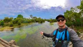 Fly Fishing The Goulburn River