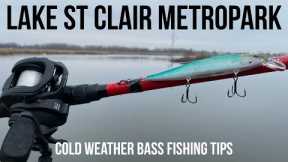 Lake St Clair Metropark Early Spring Bass Fishing Tips