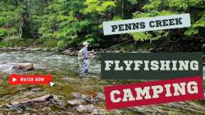 Penns Creek | A Pennsylvania Portrait of Wild Browns| Camping & Fly Fishing