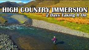 High Country Immersion - Fly Fishing Brown Trout in a Gin-Clear Mountain River ~ Part 1
