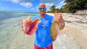 Catch n' Cook on a Caribbean Beach - Conch and Snapper!