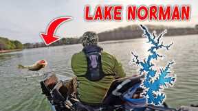 When it's COLD, Go Fish SHALLOW! (Lake Norman)