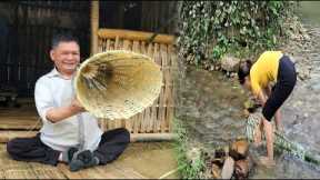 Harvest fish bone vegetables goes to the market  sell ,Completing the fish catching basket ,Cooking