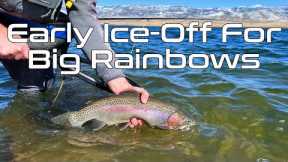 Ice Off in February? | Fly Fishing Early Season Rainbows