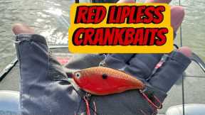 When And Where To Fish Red Lipless Crankbaits…(On The Water Demo)