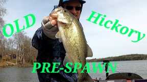 ARE the Bass moving up? ( Secondary Points) OLD HICKORY LAKE!! #falconboats #diawa #pulsefishlures