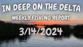 The In Deep On The Delta Weekly Fishing Report For 3/14/2024.