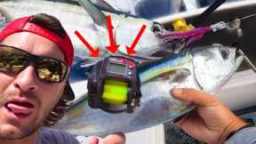 This Reel shows us how to catch tuna {Catch & Cook}