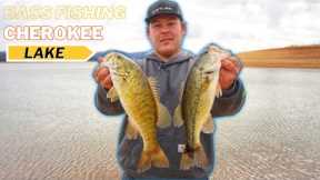 Bass fishing Cherokee Lake 2024
