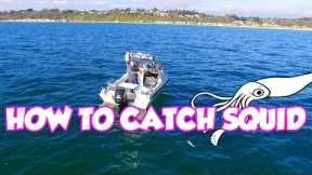 Beginners Guide  Squid Fishing Tips Catching Find Tutorial Jig  How TO