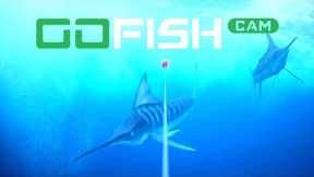 The GoFish Cam: Underwater HD Fishing Camera